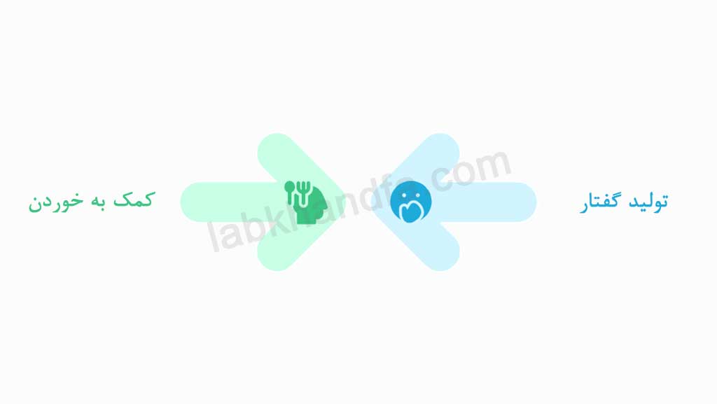 وظایف استخوان فک پایین
