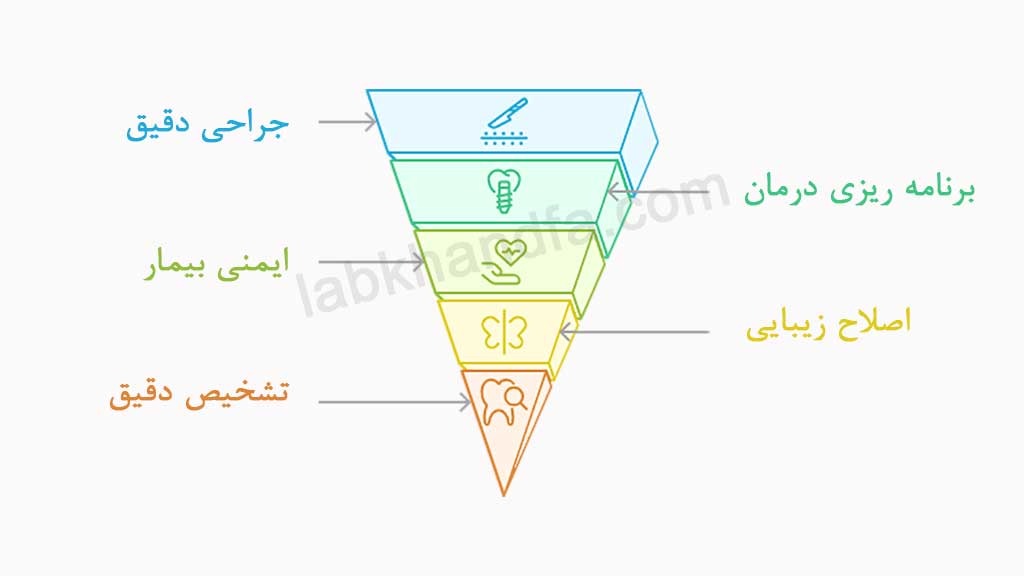 اهمیت شناخت آناتومی استخوان فک