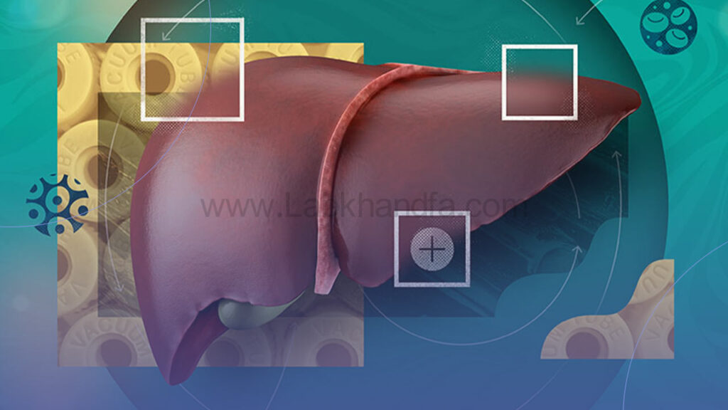 تصویر شماتیک برای ارتباط بین کبد و تلخی دهان