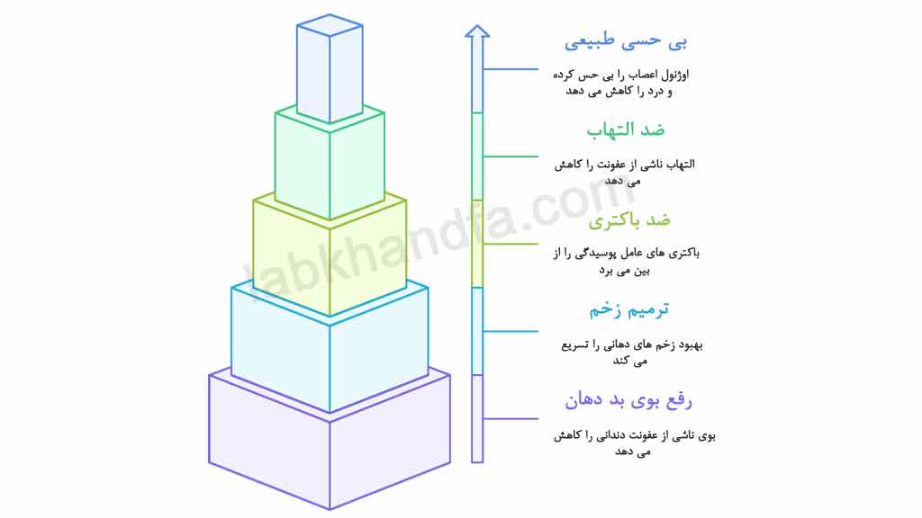 چرا میخک برای دندان درد مؤثر است؟