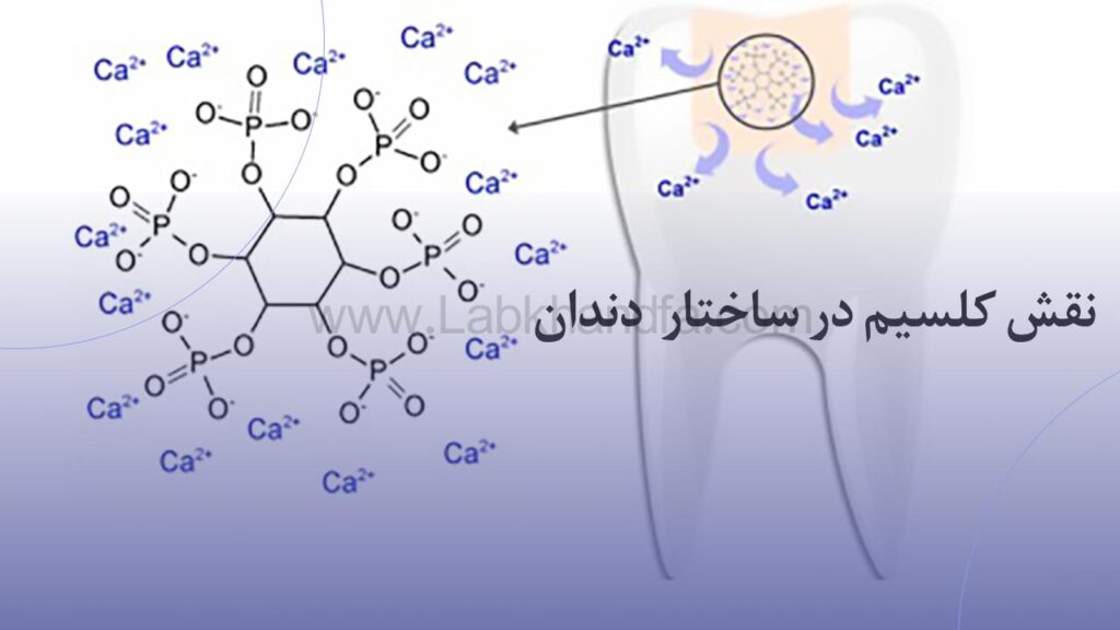 نقش کلسیم در ساختار و استحکام دندان