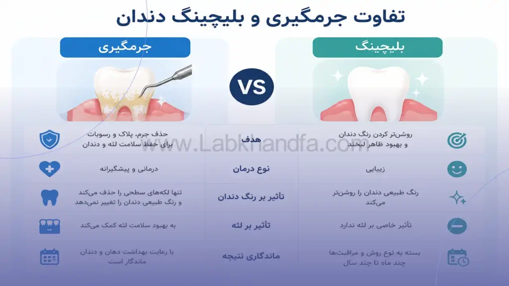 اینفوگرافی تفاوت بین جرمگیری و بلیچینگ