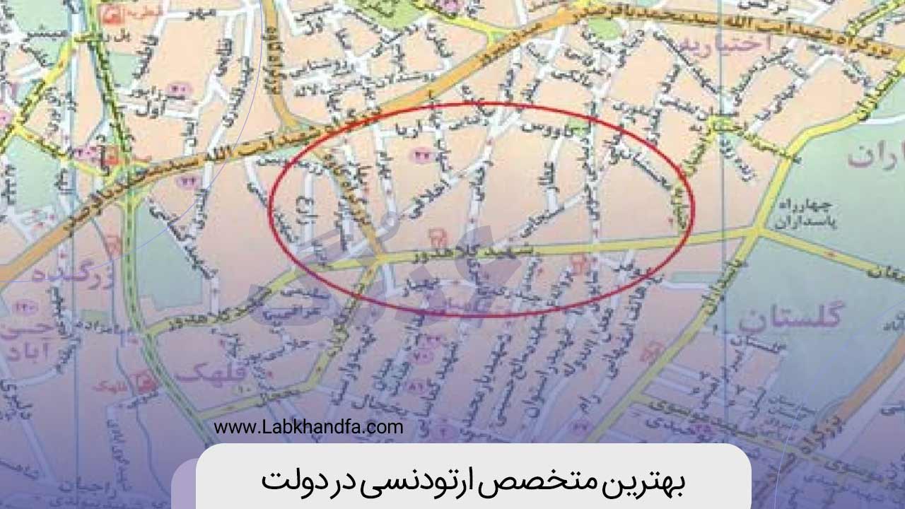 لیست بهترین متخصص ارتودنسی در دولت